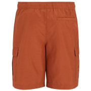 Мъжки бански Regatta Blanmont Swim Short