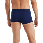 Мъжки боксерки Icebreaker M Anatomica Cool-Lite Trunks