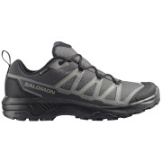 Мъжки трекинг обувки Salomon Exraise Gtx сив Asphalt / Sedona Sage / Black
