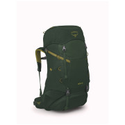 Детска раница Osprey Ace 38 зелен green canopy/matcha green