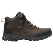 Мъжки високи трекинг обувки Regatta Burrell Leather Boot II тъмно кафяв Peat