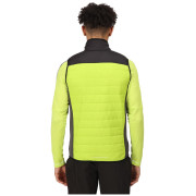 Мъжка жилетка Regatta Halton BW VI