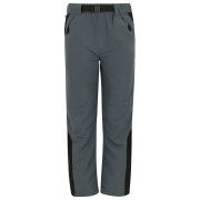 Детски панталони Regatta Sorcer Mountain Trousers VII Dark Storm сив Dark Storm