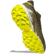 Мъжки обувки за бягане Dynafit Ultra 100 V3 GTX