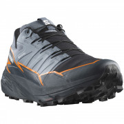 Мъжки обувки за бягане Salomon Thundercross Gore-Tex сив