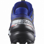 Мъжки обувки Salomon Speedcross 6 Gore-Tex Equipe
