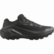 Мъжки обувки за бягане Salomon Genesis 2 GTX