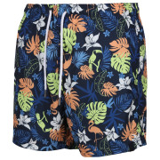 Мъжки къси панталони Regatta Loras Swim Short m