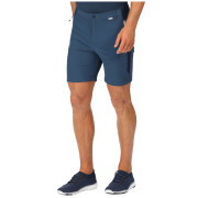 Мъжки къси панталони Regatta Mountain ShortsII M