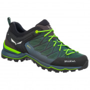 Мъжки обувки Salewa Ms Mtn Trainer Lite Gtx черен/зелен Myrtle/OmbreBlue