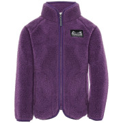 Детски суитшърт Didriksons Gibbs Kids Fullzip 2 Northen Purple лилав Northen Purple