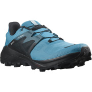Мъжки обувки Salomon Wildcross 2 Gore-Tex син BarrierReef