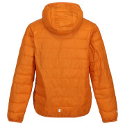 Детско яке Regatta Jr Hooded Hillpck