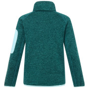 Детски суитшърт Regatta Junior Newhill DrkForGlacGr