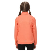 Детски суичър Regatta Jnr Highton LteII