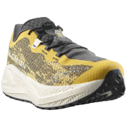 Мъжки обувки за бягане Salomon Aero Glide 4 Grvl
