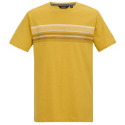 Мъжка тениска Regatta Rendro жълт CeylonYellow