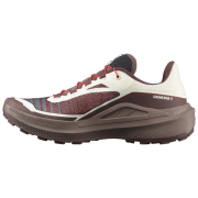 Мъжки обувки за бягане Salomon Genesis 2