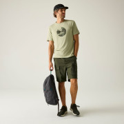Мъжки къси панталони Regatta Arlery Shorts