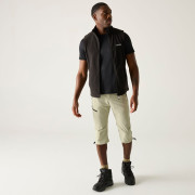 Мъжки 3/4 панталони Regatta Xert Stretch Capri