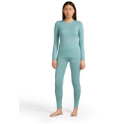 Дамска тениска Icebreaker W's 260 Tech LS Crewe