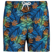 Мъжки бански Regatta Loras Swim Short