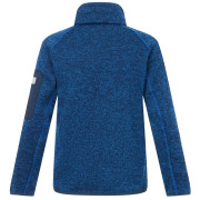 Детски суитшърт Regatta Junior Newhill Aviator Blue Golden Cypress