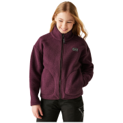 Детски функционален суитшърт Dare 2b Zesty II Fleece