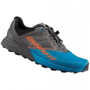 Мъжки обувки за бягане Dynafit Alpine син/сив Magnet/Frost