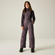 Детски зимен панталон Dare 2b Outmove III Insulated Pant Huckleberry