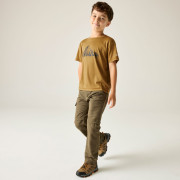 Детска тениска Regatta Alvarado Wood Brown