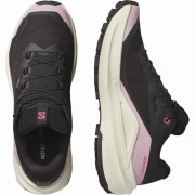 Дамски обувки за бягане Salomon Genesis 2 Gtx W