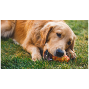 Играчка за куче Ruffwear Gnawt-a-Cone™ Toy