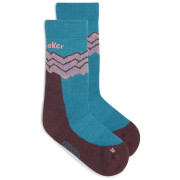 Дамски чорапи Icebreaker Women Merino Hike+ Medium Crew Across the Peaks