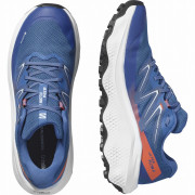 Мъжки обувки Salomon Ultra Flow 2 Gore-Tex