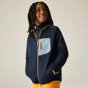 Детски суитшърт Dare 2b Expedition Mid Navy
