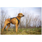 Повод за куче Curli Ultra Strong Pocket Leash