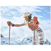 Ски очила Uvex Victorious CV