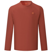Мъжка тениска Dare 2b Agile Long Sleeved Tee кафяв ArabianSpice