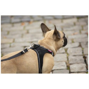 Повод за куче Curli Adjustable Leash Nylon
