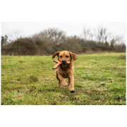 Играчка за куче Mountain Paws Rubber Throw Dog Toy