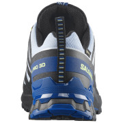 Мъжки обувки за бягане Salomon Xa Pro 3D V9 GTX Icon