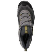 Мъжки туристически обувки Salomon X Ultra 5