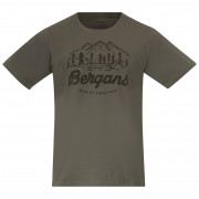 Мъжка тениска Bergans Classic V2 Tee зелен