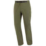 Мъжки панталони Salomon Wayfarer 2.0 Pants M зелен Grape Leaf