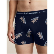 Мъжки функционални боксерки Icebreaker Men M 150 Anatomica Boxers BearTourAOP