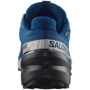 Мъжки обувки за бягане Salomon Speedcross 6 Gore-Tex