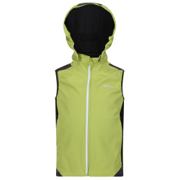 Детска жилетка Regatta Acidity B/W зелен
