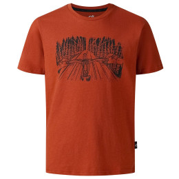 Детска тениска Dare 2b Trailbazer III Tee Arabian Spice кафяв ArabianSpice