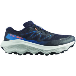 Мъжки обувки Salomon Ultra Flow 2 Gore-Tex